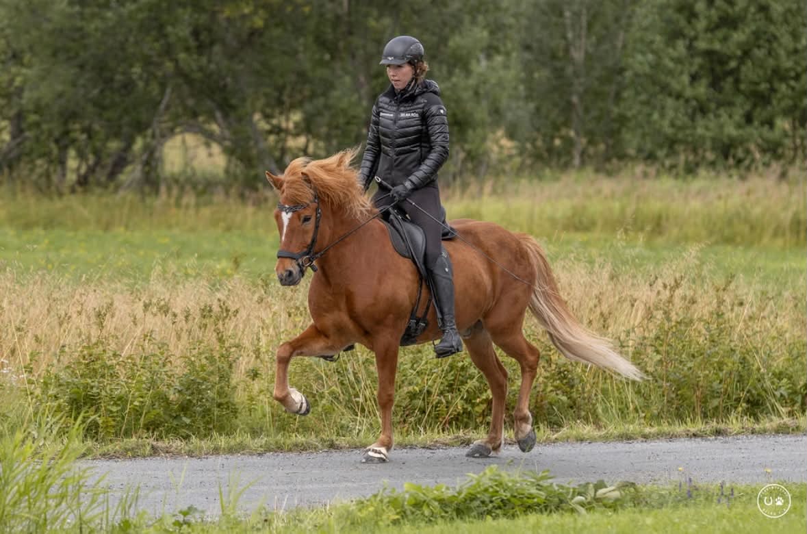 Leikur